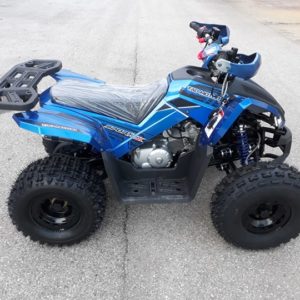 Gyerek quad Tao Coyote 125cc kék - Image 2