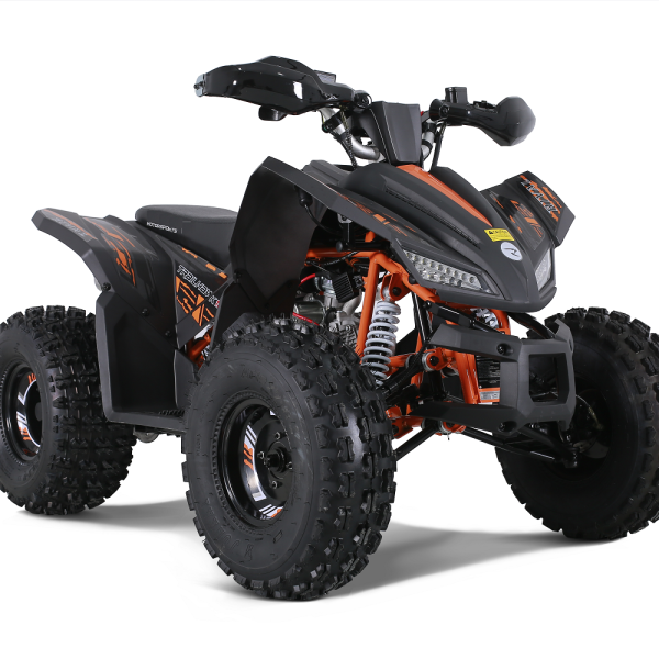 Gyerek quad Tao Coyote 125cc - Image 2